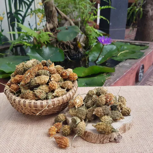 Khổ Qua Rừng