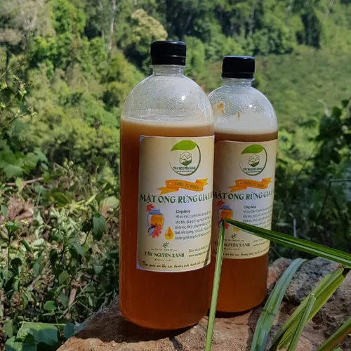 Mật Ong Rừng Gia Lai