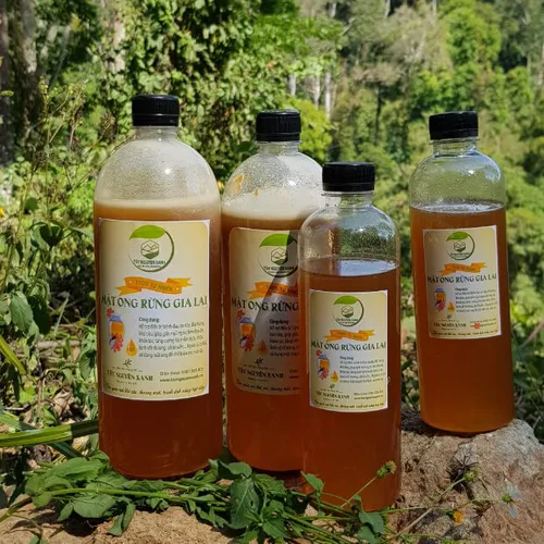 Mật Ong Rừng Gia Lai
