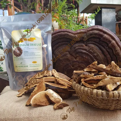 Nấm Linh Chi Rừng - Hồng Chi