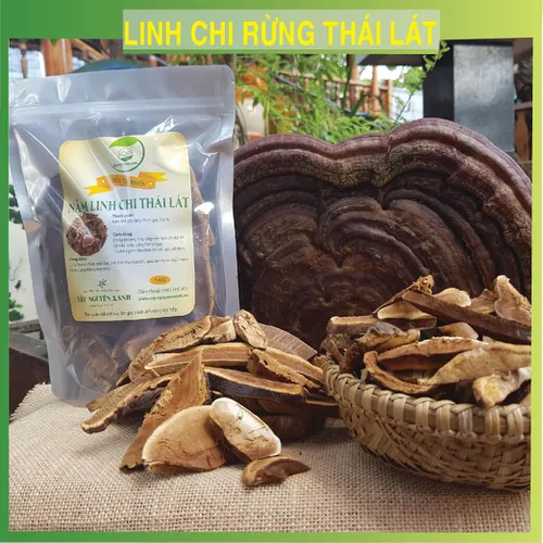 Nấm Linh Chi Rừng Thái Lát