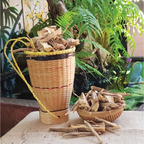 Rễ Khỏe Kon Pne Sâm Khỏe Kbang