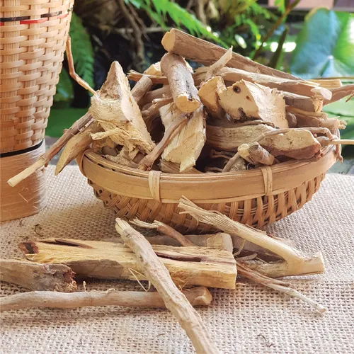 Rễ Khỏe Kon Pne Sâm Khỏe Kbang