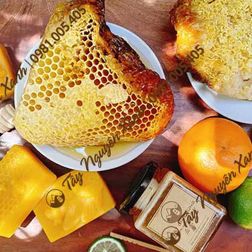 Mật Ong Rừng Nguyên Tổ