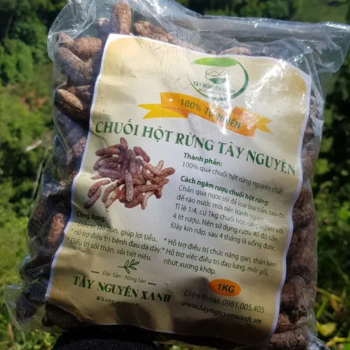 Chuối Hột Rừng