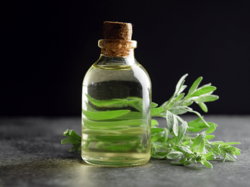 Tác dụng của tinh dầu thiên nhiên như một vị thuốc Tác dụng của tinh dầu thiên nhiên như một vị thuốc