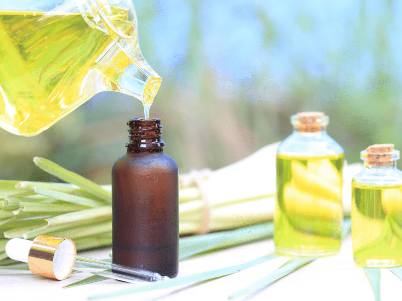 Tác dụng xông phòng bằng tinh dầu sả tự nhiên Tác dụng xông phòng bằng tinh dầu sả tự nhiên