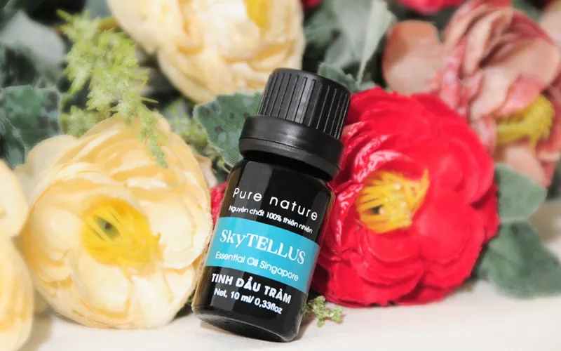 Công dụng của tinh dầu tràm và cách sử dụng hiệu quả