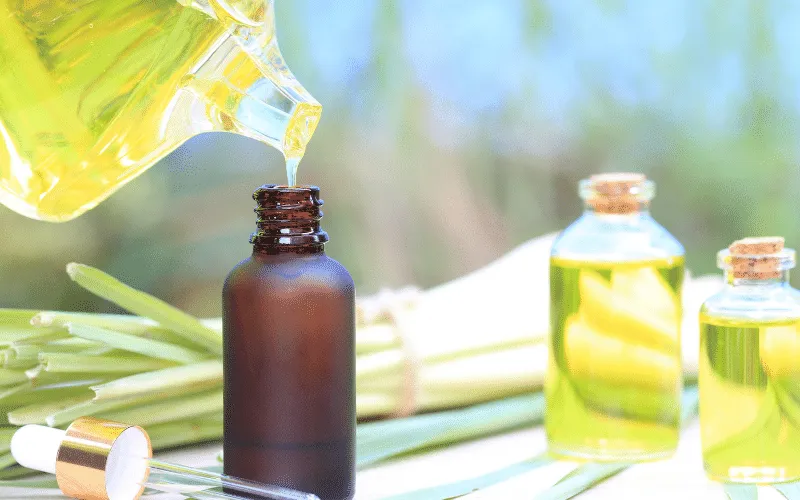 Tinh dầu xả đuổi muỗi chống côn trùng