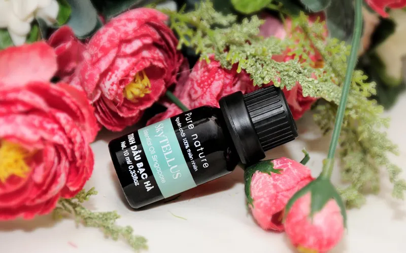 Xu hướng mùi hương tinh dầu bạc hà cho không gian sống của bạn