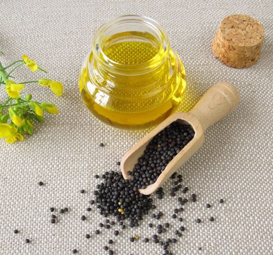 Dầu hạt cải có thể phù hợp với chế độ ăn kiểm soát cân nặng Dầu hạt cải có thể phù hợp với chế độ ăn kiểm soát cân nặng