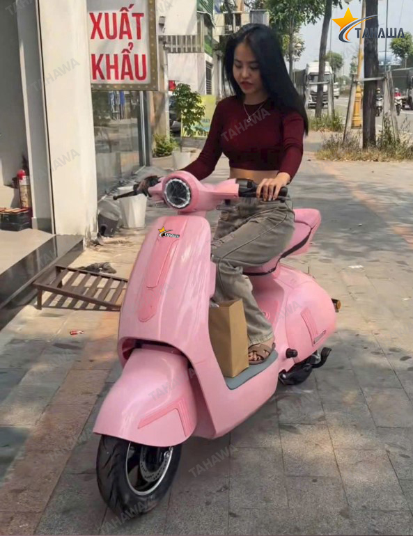 xe điện V3