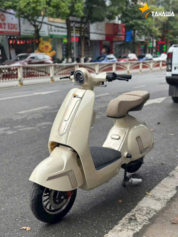 xe điện V3