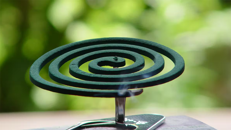 Cách Đuổi Muỗi, Diệt Muỗi Hiệu Quả Cách Đuổi Muỗi, Diệt Muỗi Hiệu Quả