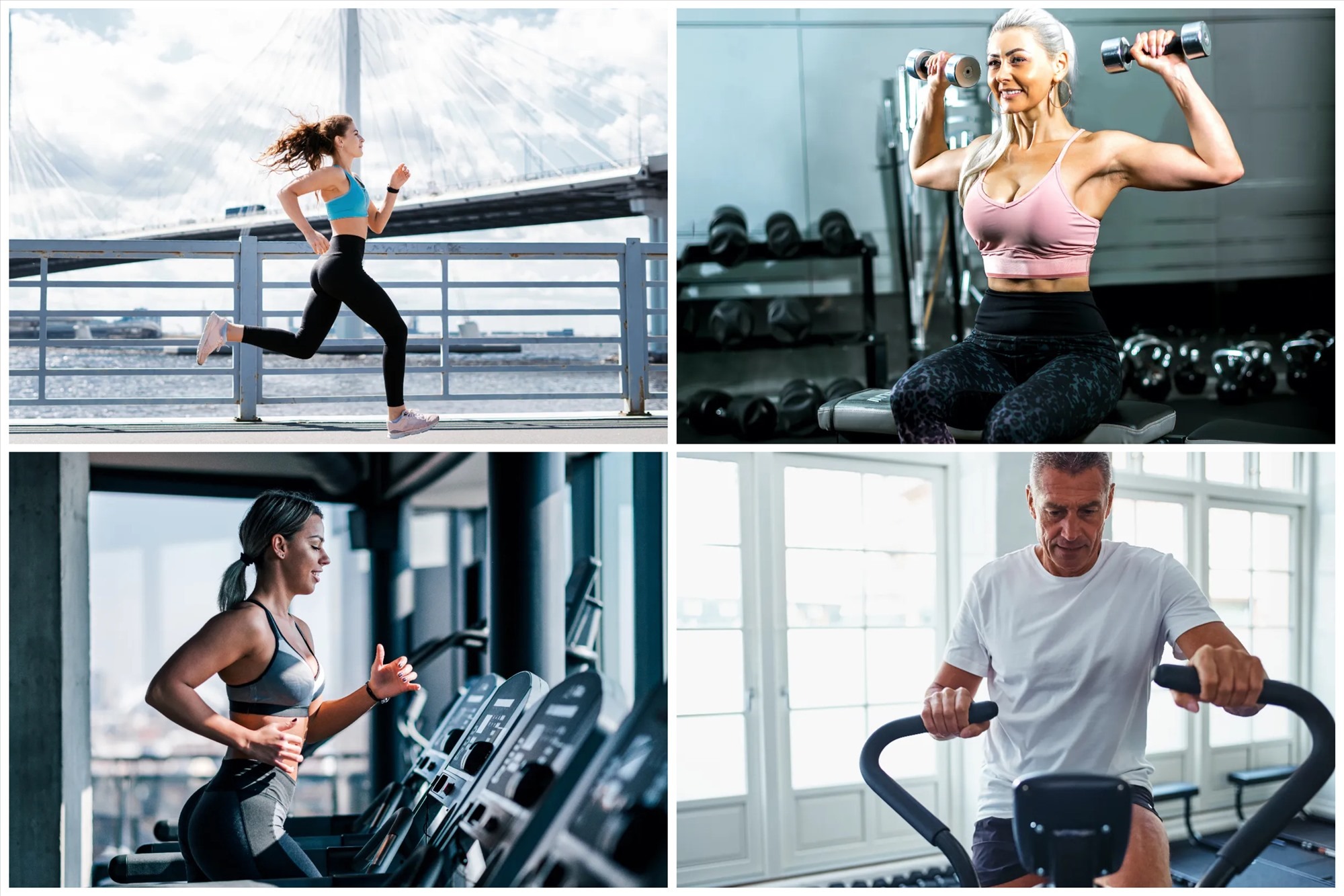 Cholesterol là gì? Có hại cho sức khỏe không? Cholesterol là gì? Có hại cho sức khỏe không?