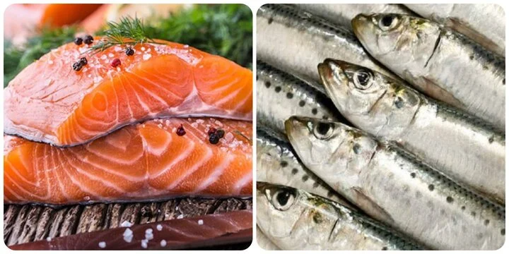 canxi có trong thực phẩm nào, thực phẩm nhiều canxi, thực phẩm giàu canxi canxi có trong thực phẩm nào, thực phẩm nhiều canxi, thực phẩm giàu canxi