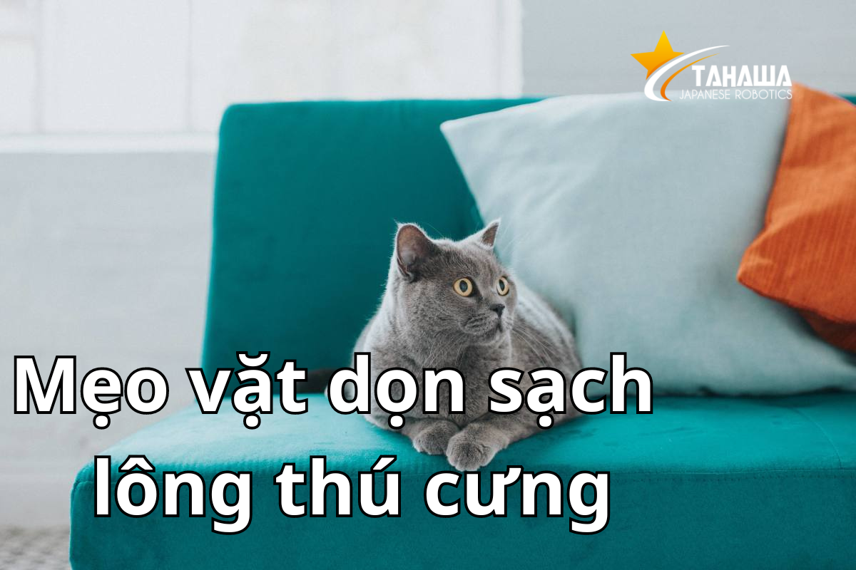 Làm cách nào để hết lông chó mèo trong nhà? Mẹo vặt dọn sạch lông chó mèo trong nhà