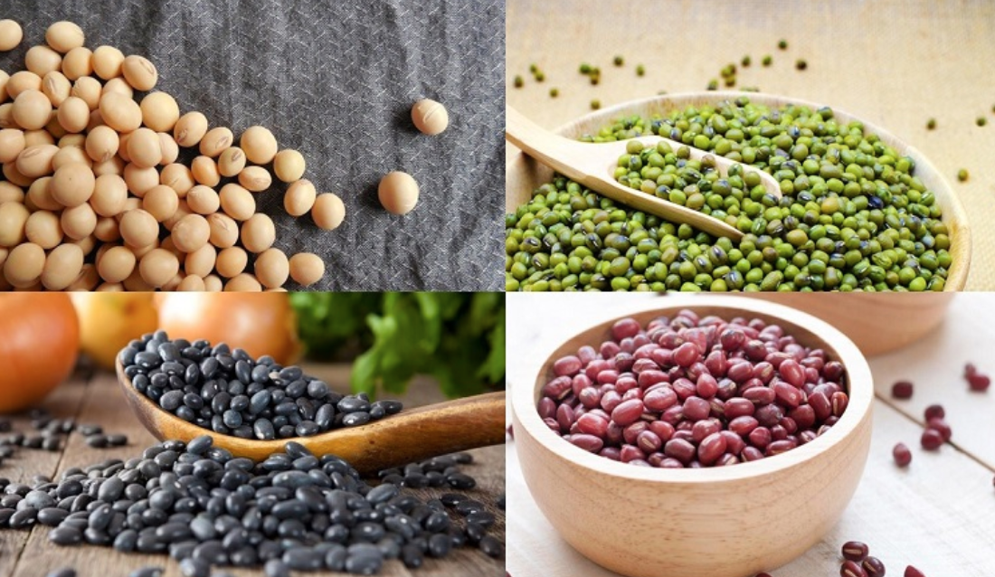 canxi có trong thực phẩm nào, thực phẩm nhiều canxi, thực phẩm giàu canxi canxi có trong thực phẩm nào, thực phẩm nhiều canxi, thực phẩm giàu canxi