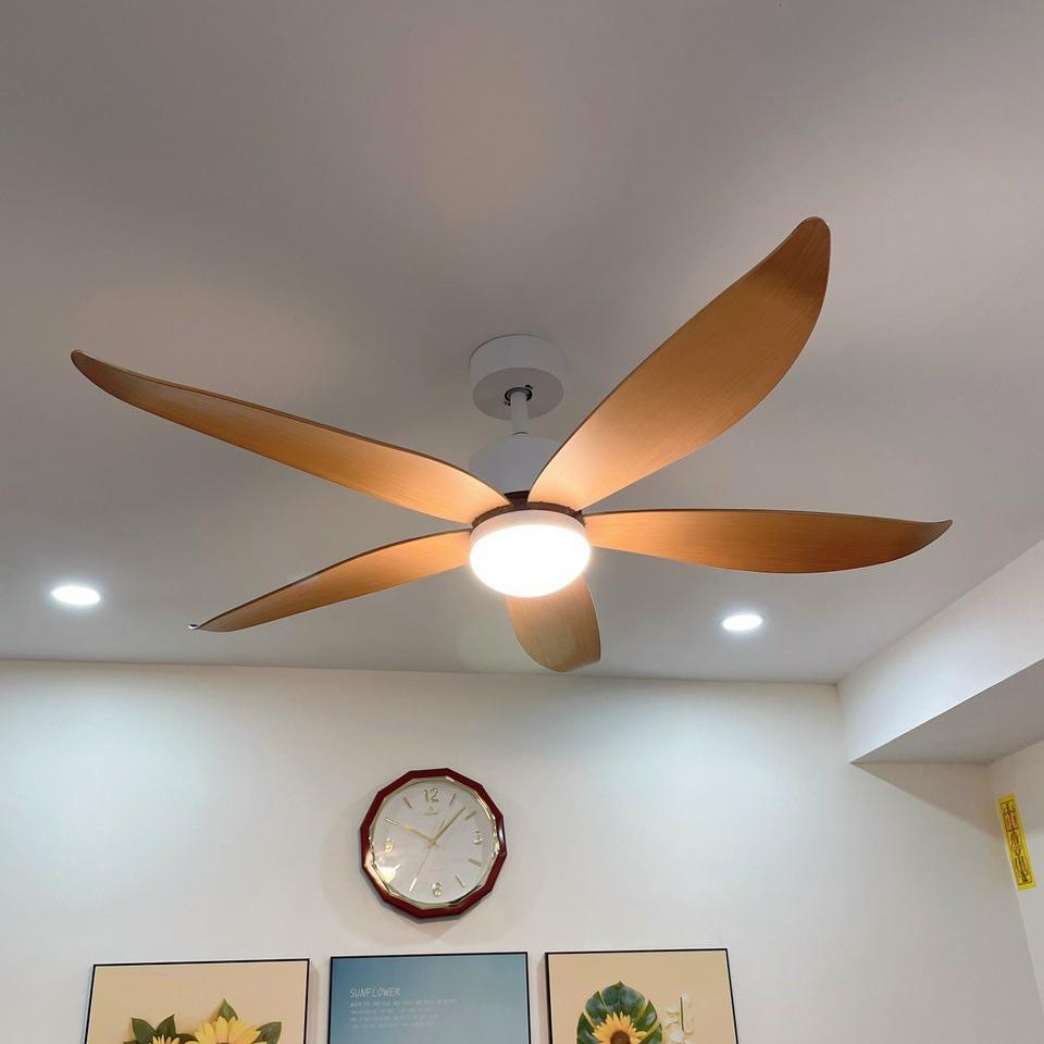 các mẫu quạt phổ biến trong ngày hè