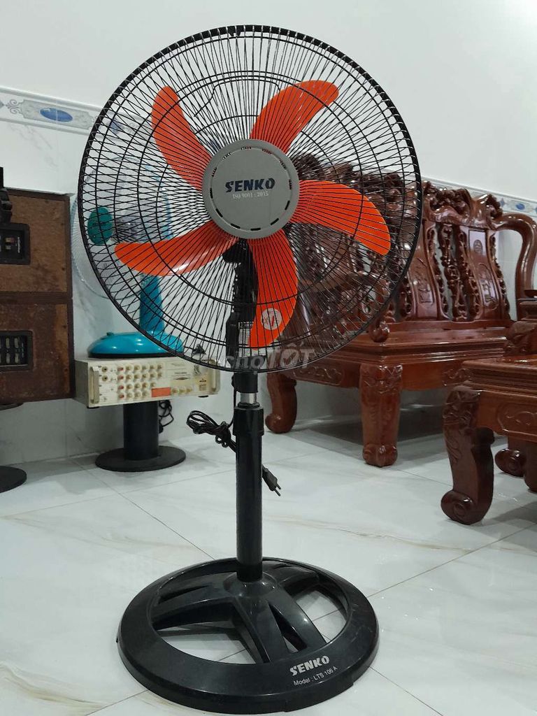 các mẫu quạt cây được ưa chuộng