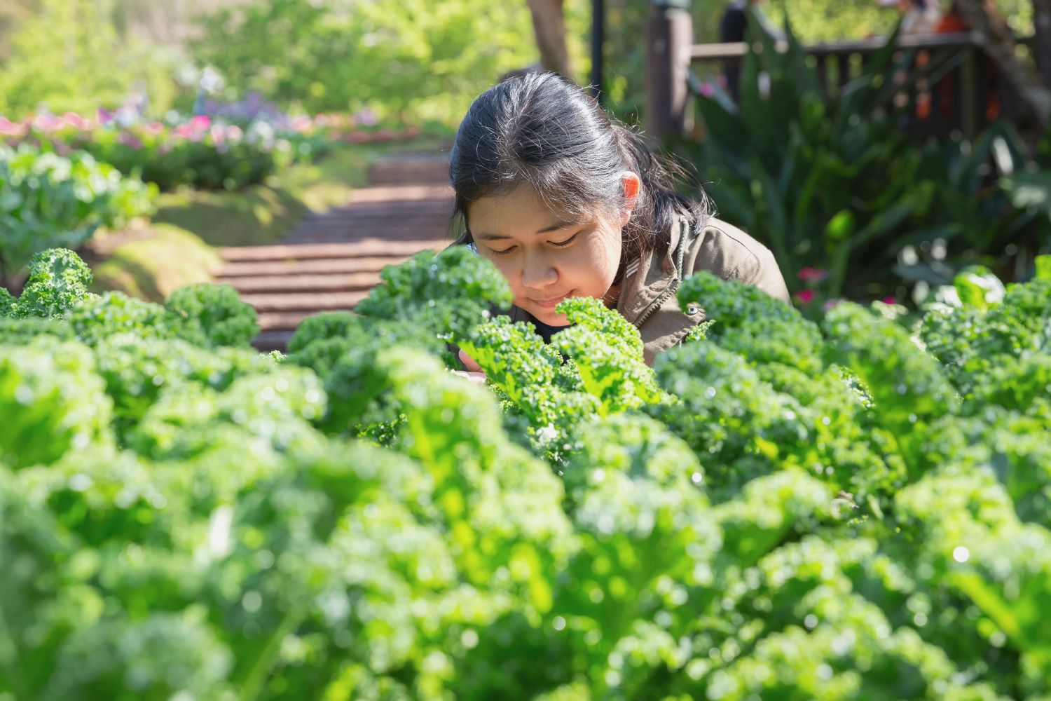 Cách làm sạch thực phẩm gồm 4 bước của người Nhật để duy trì 1 sức khỏe tốt Cách làm sạch thực phẩm gồm 4 bước của người Nhật để duy trì 1 sức khỏe tốt