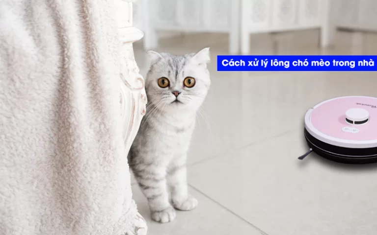 Làm cách nào để hết lông chó mèo trong nhà? Mẹo vặt dọn sạch lông chó mèo trong nhà