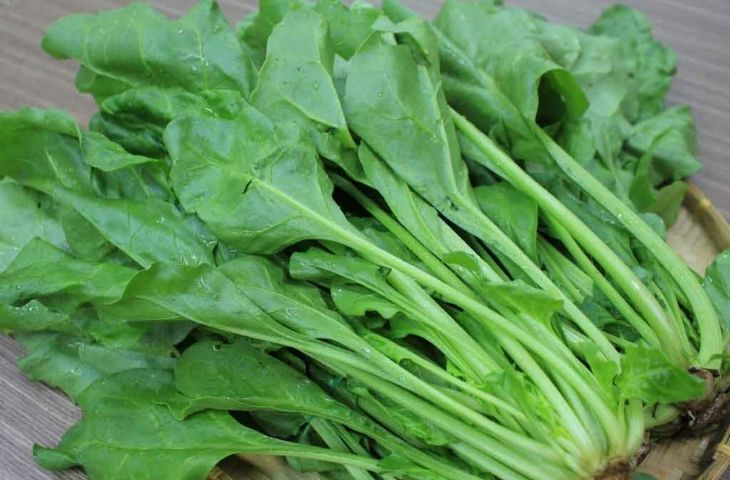 canxi có trong thực phẩm nào, thực phẩm nhiều canxi, thực phẩm giàu canxi canxi có trong thực phẩm nào, thực phẩm nhiều canxi, thực phẩm giàu canxi