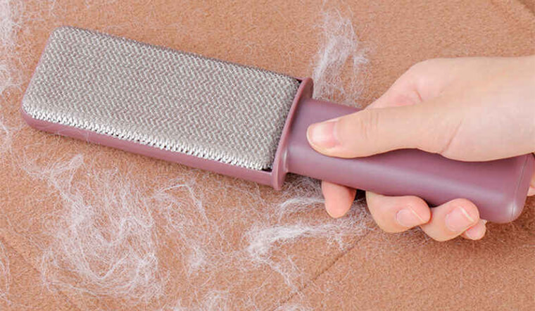 Làm cách nào để hết lông chó mèo trong nhà? Mẹo vặt dọn sạch lông chó mèo trong nhà