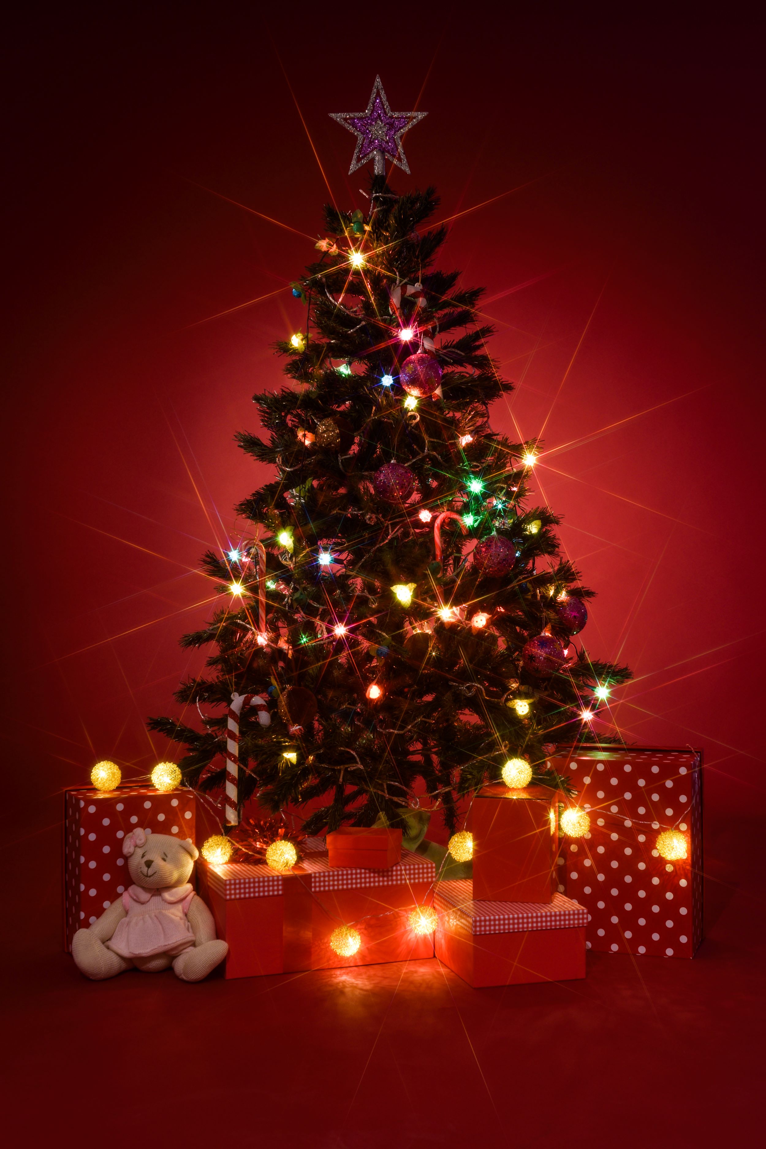 Hình nền cây thông Noel – Biểu tượng mùa lễ hội