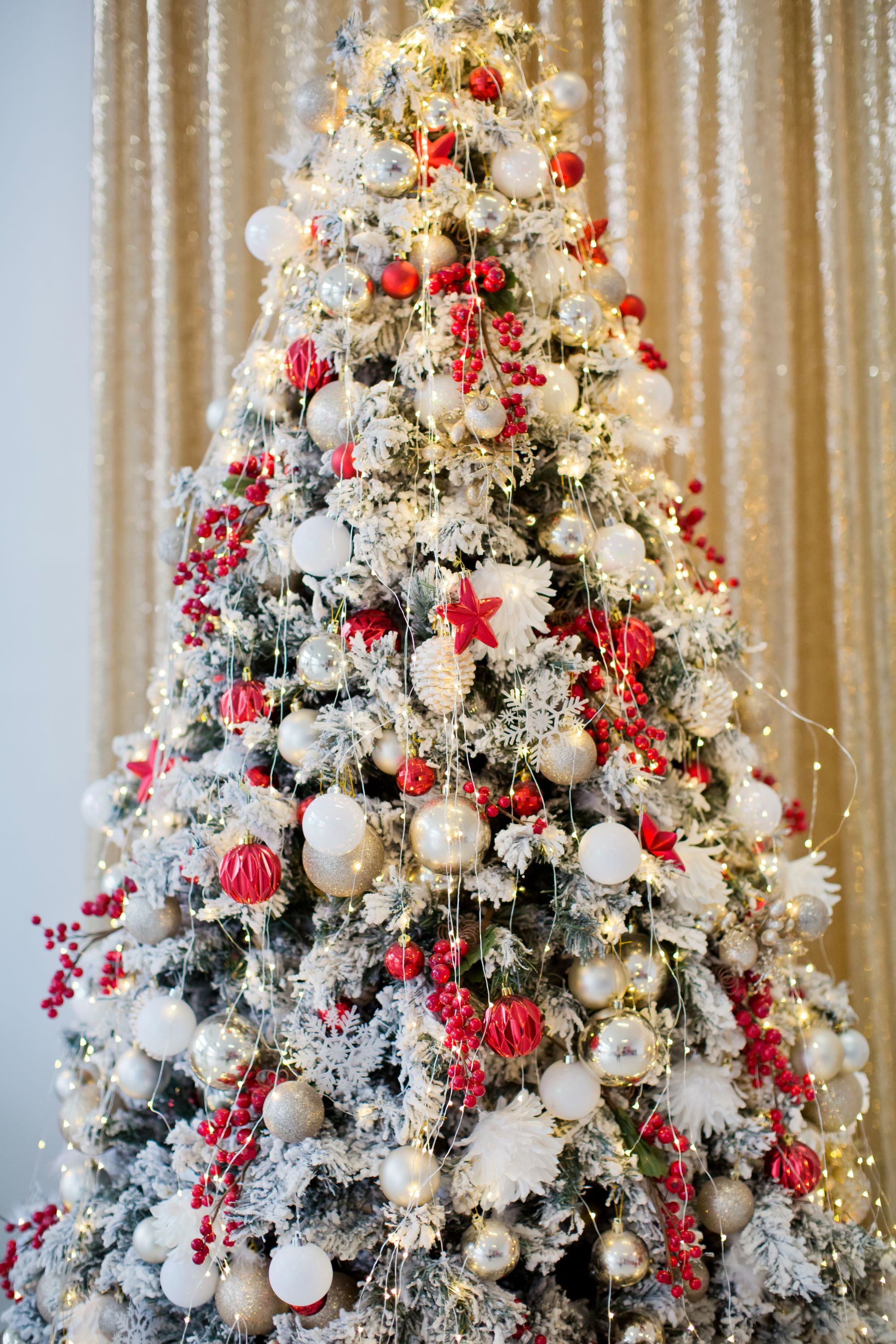 Hình nền cây thông Noel – Biểu tượng mùa lễ hội