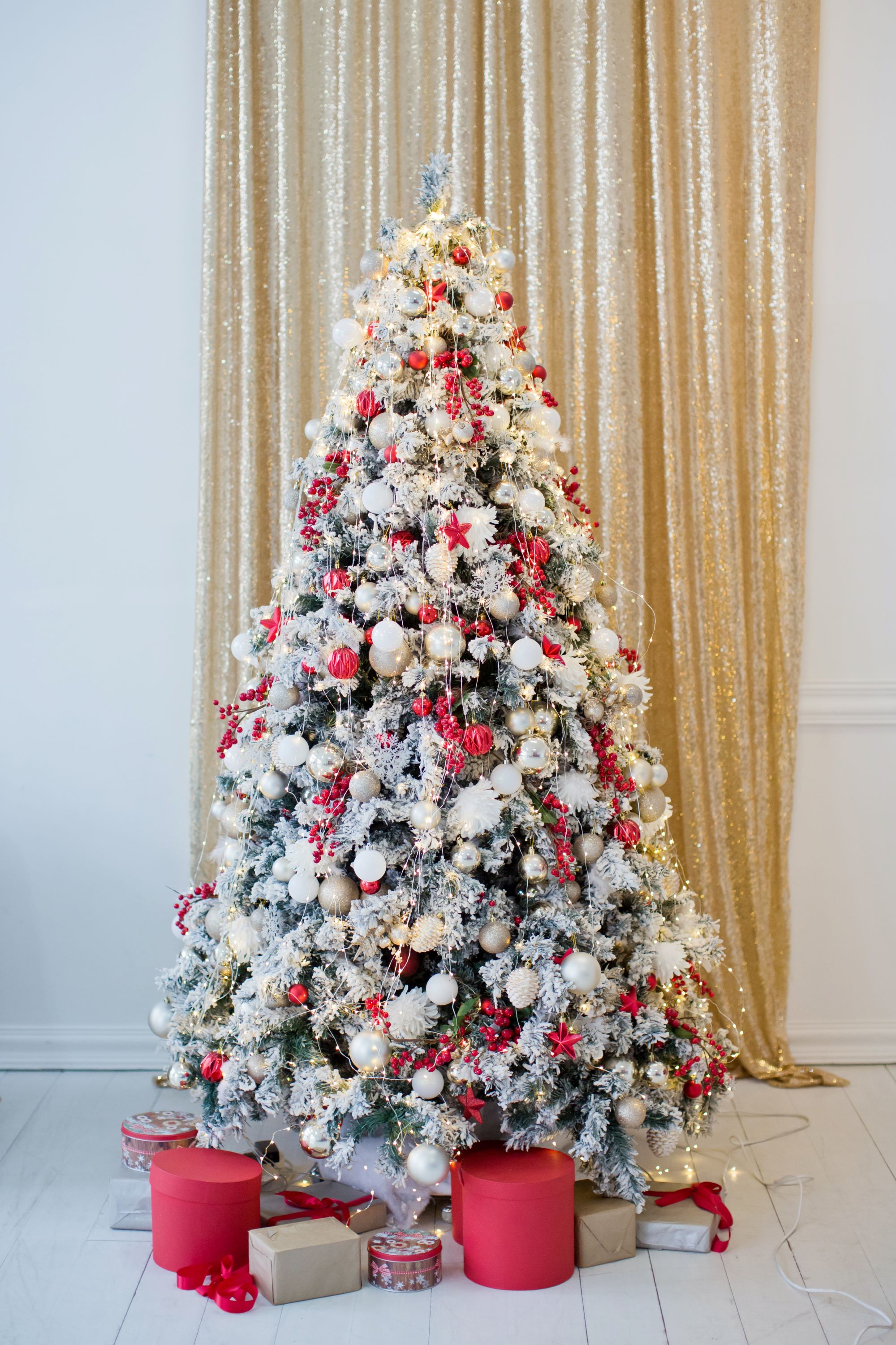 Hình nền cây thông Noel – Biểu tượng mùa lễ hội