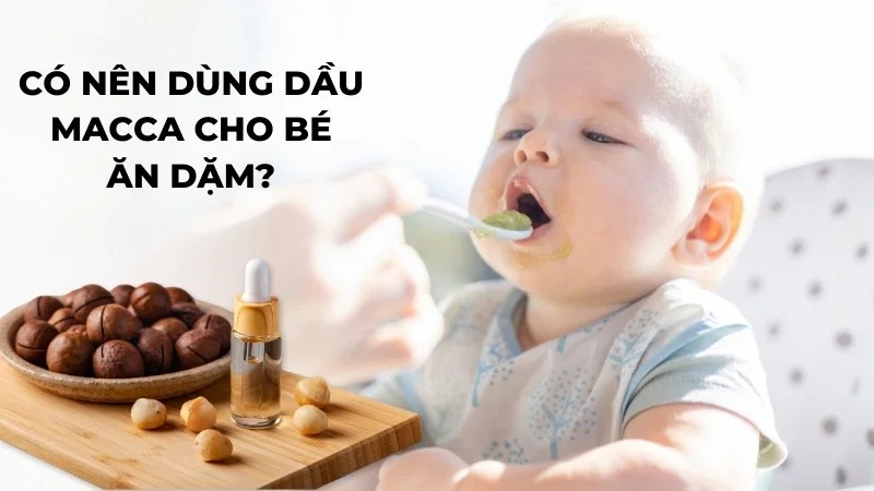 dầu macca cho bé ăn dặm dầu macca cho bé ăn dặm