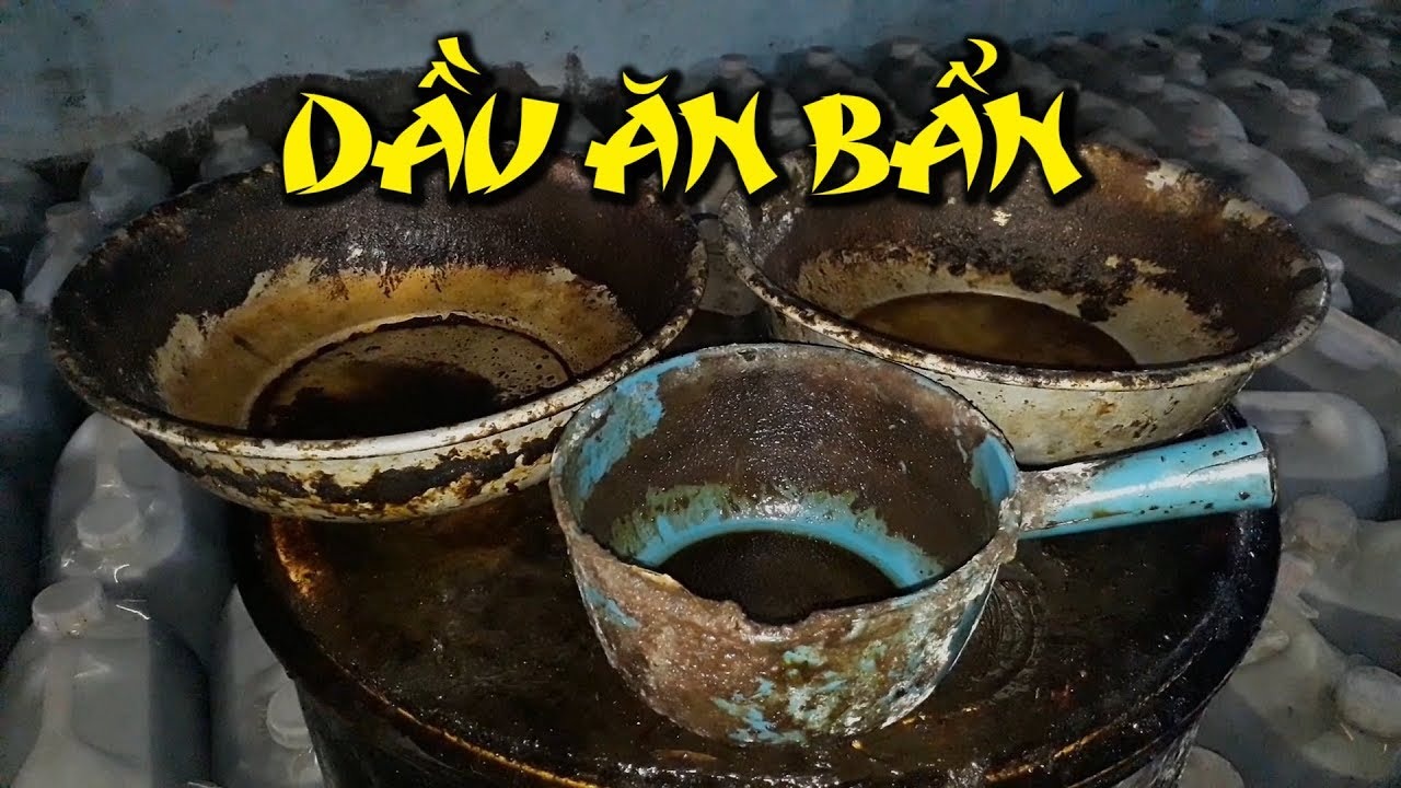 Tác hại nghiêm trọng của dầu ăn bẩn đối với sức khỏe con người