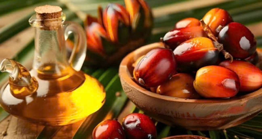 Dầu cọ cũng phù hợp để chiên rán Dầu cọ cũng phù hợp để chiên rán