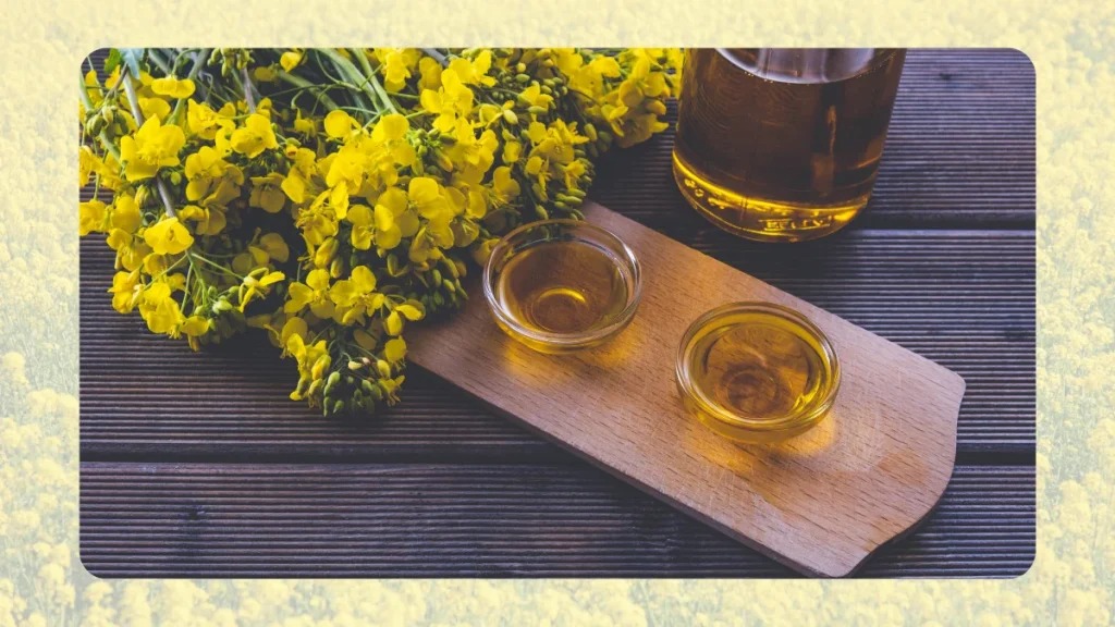 Sử dụng dầu hạt cải tốt cho sức khỏe Sử dụng dầu hạt cải tốt cho sức khỏe