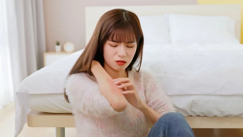 Dầu tía tô có thể gây dị ứng Dầu tía tô có thể gây dị ứng