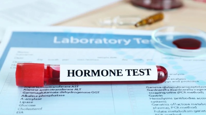 Dầu tía tô có thể gây mất cân bằng hormone Dầu tía tô có thể gây mất cân bằng hormone