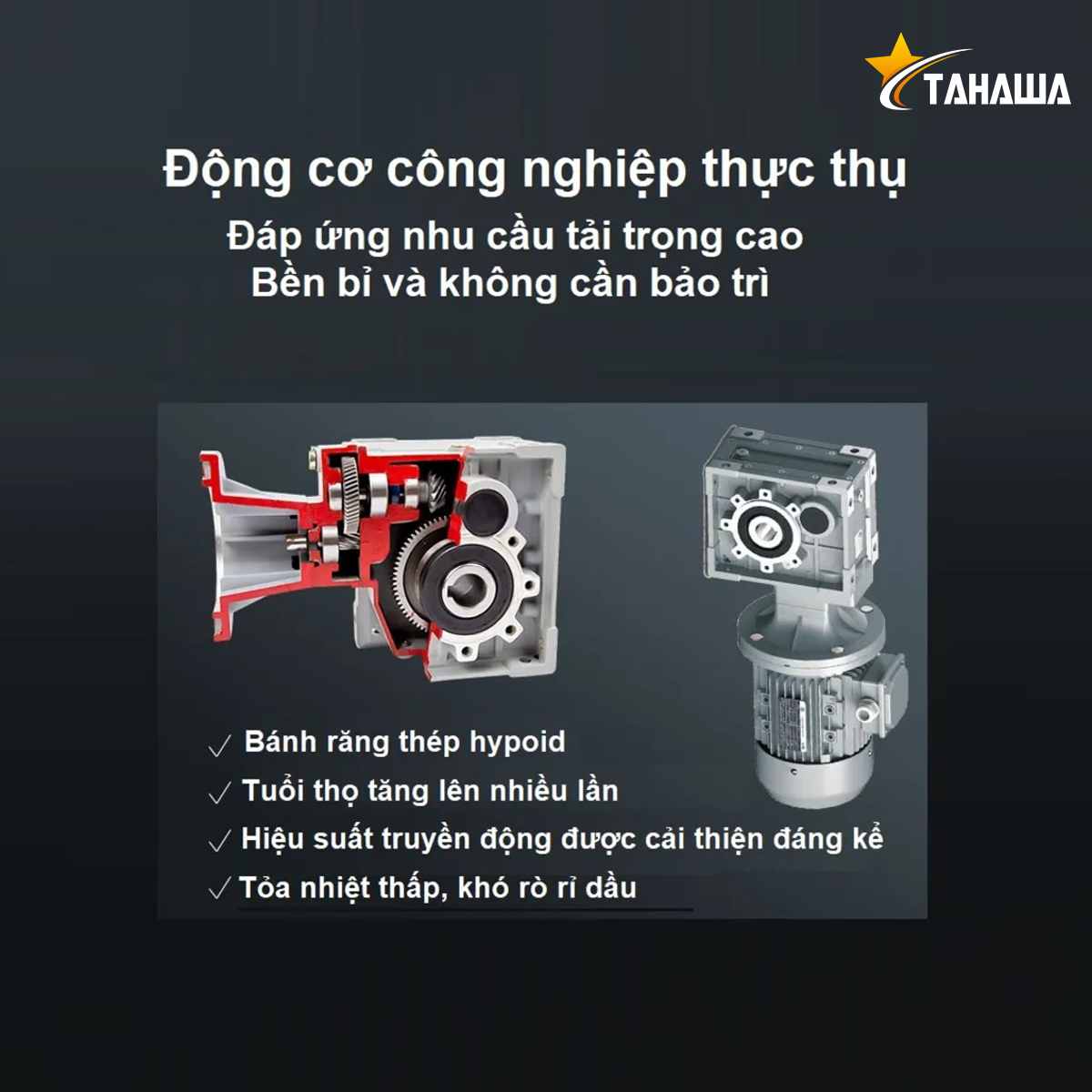 Máy Ép Dầu Ăn Thực Vật Công Nghiệp Tahawa TH-D08 Máy Ép Dầu Ăn Thực Vật Công Nghiệp Tahawa TH-D08