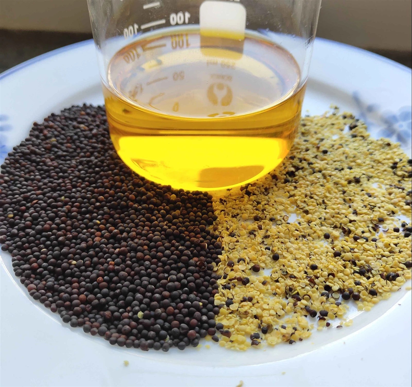 Dầu Hạt Cải Là Gì? Vì Sao Các Chuyên Gia Dinh Dưỡng Lại Khuyên Dùng? Dầu Hạt Cải Là Gì? Vì Sao Các Chuyên Gia Dinh Dưỡng Lại Khuyên Dùng?