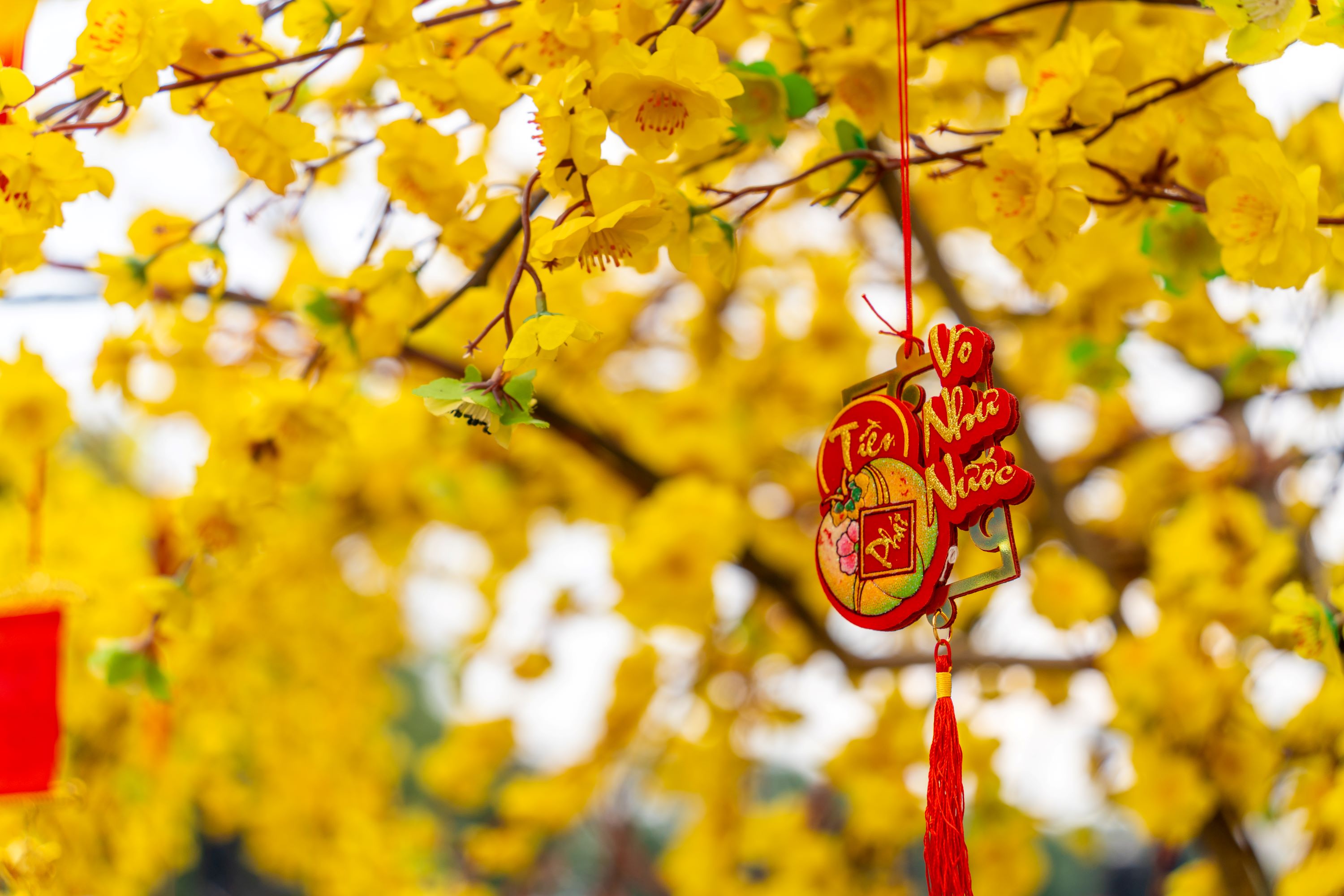 Hình Nền Tết 2026 Bính Ngọ 4K FULL HD 5 Hình Nền Tết 2026 Bính Ngọ 4K FULL HD 5