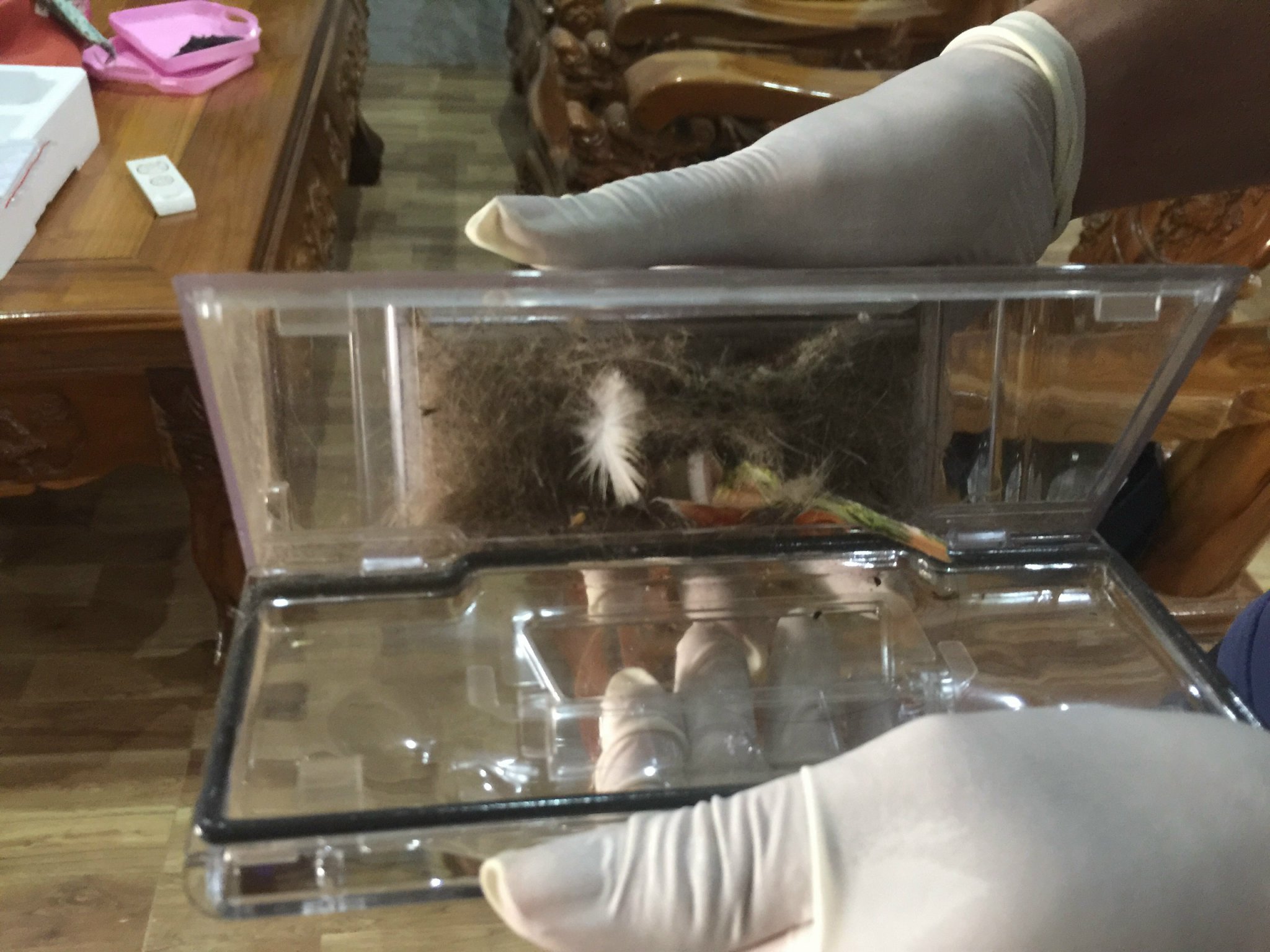 Hộp bụi robot hút bụi lau nhà Tahawa Nhật Bản TH-06Plus sau khi hút bụi căn nhà Hộp bụi robot hút bụi lau nhà Tahawa Nhật Bản TH-06Plus sau khi hút bụi căn nhà