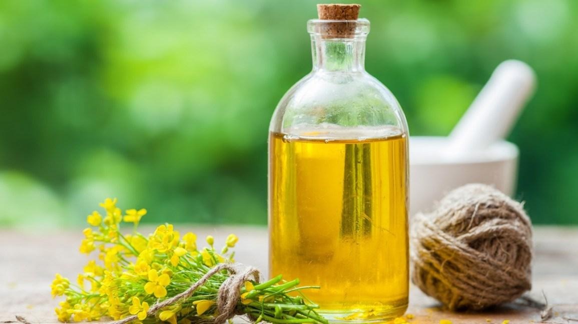 Dầu hạt cải có tốt không 2 Dầu hạt cải có tốt không-2