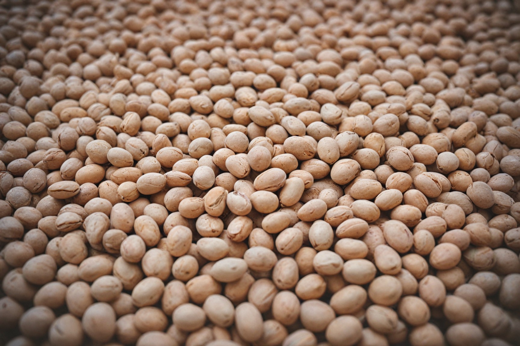 các loại thực phẩm giàu protein các loại thực phẩm giàu protein