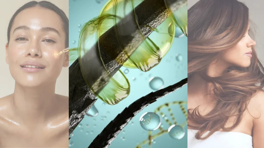 Ủ dầu hạt cải 1 tuần2 lần giúp da và tóc khỏe Ủ dầu hạt cải 1 tuần2 lần giúp da và tóc khỏe