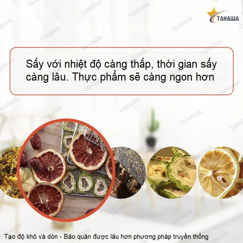 Máy sấy thực phẩm 12 KHAY TAHAWA ST-06 Máy sấy thực phẩm 12 KHAY TAHAWA ST-06