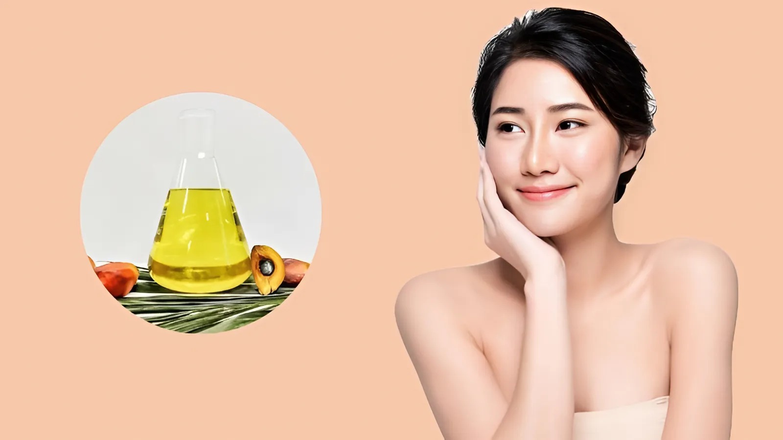 dầu cọ dầu cọ