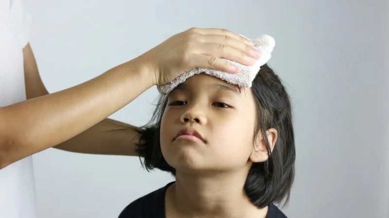 Người bị cảm nóng không nên dùng dầu tía tô Người bị cảm nóng không nên dùng dầu tía tô