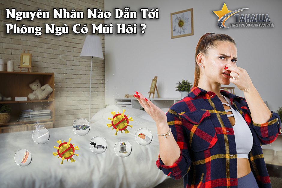 nguyên nhân vì sao phòng ngủ có mùi hôi nguyên nhân vì sao phòng ngủ có mùi hôi