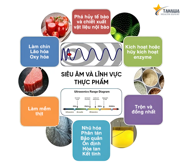 máy khử độc thực phẩm