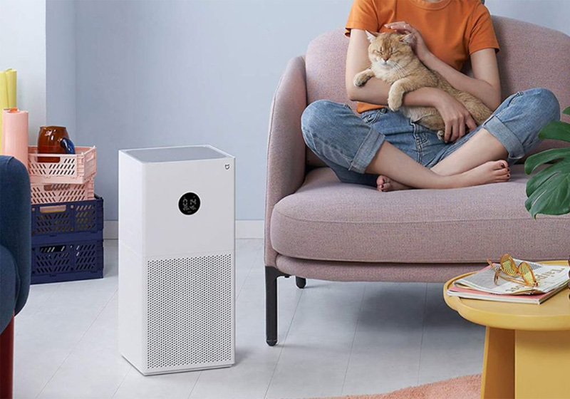 Làm cách nào để hết lông chó mèo trong nhà? Mẹo vặt dọn sạch lông chó mèo trong nhà